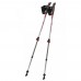 Палки для скандинавской ходьбы Tramp Compact TRR-004