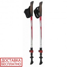 Палки для скандинавской ходьбы Tramp Compact TRR-004